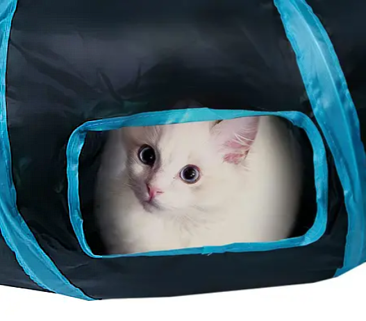 Tunel Para Mascotas Gato Interactivo - TunnelPaws Play